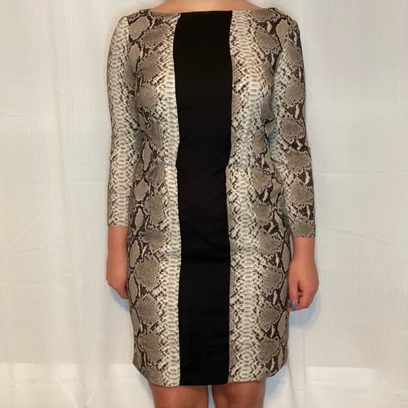 Zara python patterned midi dress size small new with tags - Picture 1 of 5